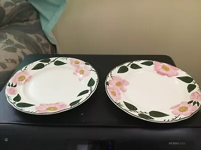 2 Salad Plates WILD ROSE By Villeroy & Boch 8  West Germany • $24