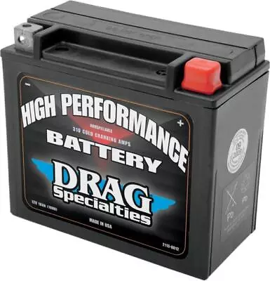 DS High Performance Factory Activated AGM Maintenance Free Battery #68621 • $146.95