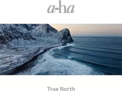 A-Ha True North Vinyl LP 2022 NEW • £37.99