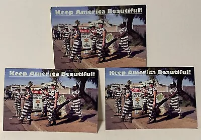 Lot Of (3) Maricopa County AZ Sheriff Joe Arpaio - Female Chain Gang Post Cards • $4.95