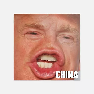 Generic Donald Trump China Meme Car Bumper Vinyl Sticker Decal • $2.75