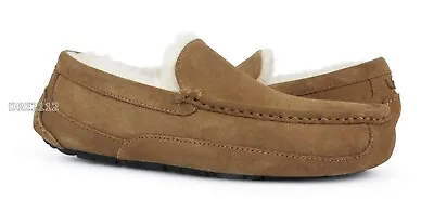 UGG Ascot Chestnut Suede Fur Slippers Mens Size 10 (Fits Size 9) *NIB- • $66.45