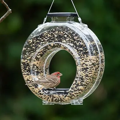 Hanging Wild Bird Feeder Seed Nut Fat Ball Garden Feeding Station Donut • £12.90