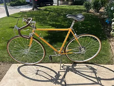 Vintage Olmo Suntour RoadBike • $600