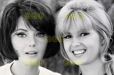 $6.07 • Buy Photo - Sylva Koscina & Pamela Tiffin In A Scene,  The Protagonists , 1968