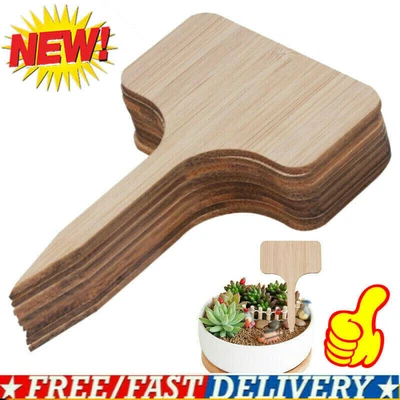 £4.54 • Buy T-Type Wooden Plant Labels Tags For Garden Seeding Potted Herbs Label Markers UK