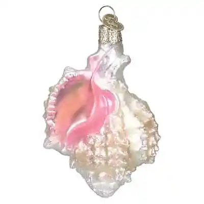 Old World Christmas MEXICAN SEASHELL (12177) Glass Ornament W/OWC Box • $17.99