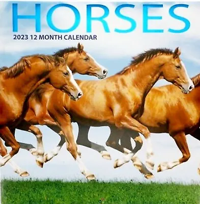 $7.99 • Buy HORSES Animal 2023 Wall Calendar - Great Wall Art