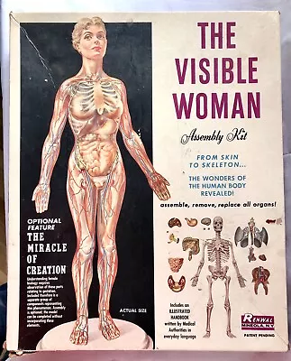 Vintage Renwal The Visible Woman Assembly Kit With Miracle Of Creation Feature • $29.99