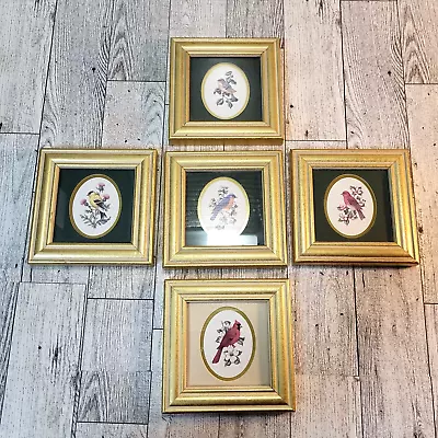 VTG 5 Framed Bird Pictures Feathered Friends Heartfelt Collections Gold 4  X  4  • $25