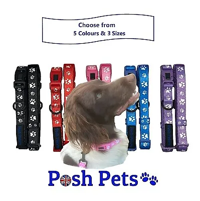 £3.49 • Buy Dog Collar Puppy Small Medium Large Nylon Dog Collar With Soft Neoprene Padding