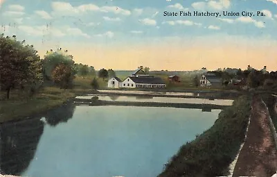 State Fish Hatchery Union City Pennsylvania PA - 1916 Vintage Postcard • $4.99