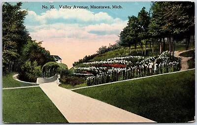 Valley Avenue Macatawa Michigan MI Flower Landscapes Roadways Ground Postcard • $9.89