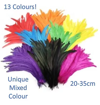 Super Large Long Rooster Feathers Sword Feathers Rainbow 22-35cm/10-12  Craft XL • £5.39