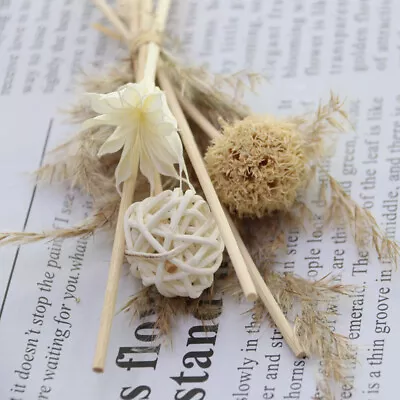 Dried Flower Rattan Reed Diffuser Sticks Refill No Fire Aroma Home Fragrances • $4.17