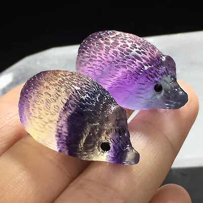 £5.27 • Buy Natural Rainbow Fluorite Quartz Crystal Hedgehog Skull Carved Stone Rock Healing