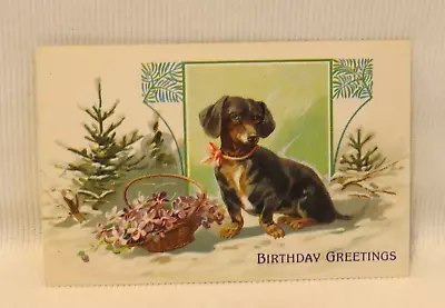 ANTIQUE BIRTHDAY GREETINGS DACHSHUND DOG - W/ PINK BOW & FLOWER BASKET POSTCARD • $8.87