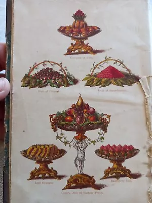 Mrs Beeton's Book Of Household Management 1877 Antique Victorian Colour Plates • £20