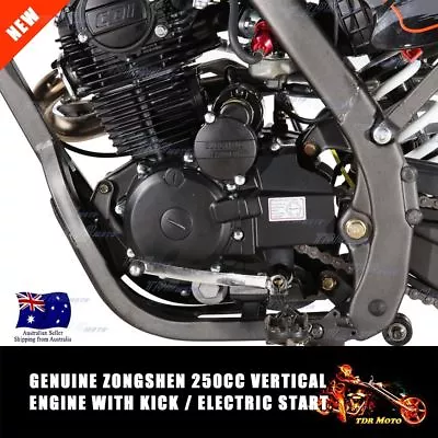 250cc Engine 5 Speed Manual Kick/Electric Start OHC Motor For Thumpstar Atomik • $899.10