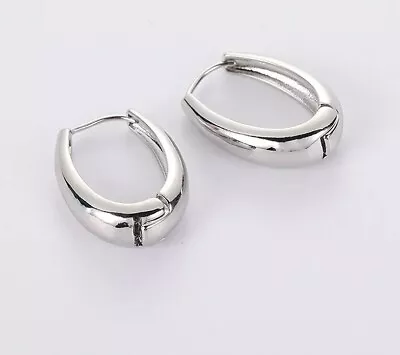 Metal Drop Earrings For Woman Vintage Hoop Earring Trend Classic Silver Color • $0.15