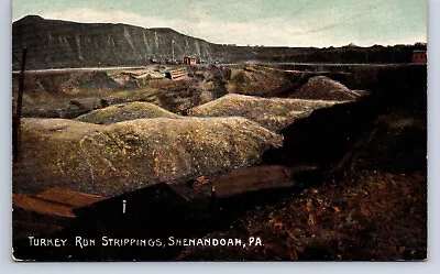 Vintage Postcard Shenandoah PA Turkey Run Strippings Coal Mine Mining O18 • $39.99