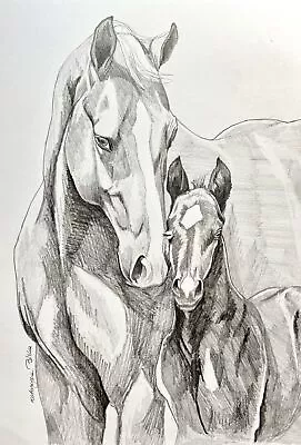 Original Drawing Art Pencil Sketch Arabian Horse Mare And Foal 8”x10  A4 • £25.28