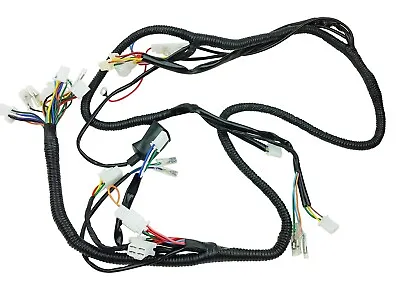 Chinese Scooter Moped 50cc Complete Main Wiring Harness GY6 TaoTao VIP 139QMB • $54.97