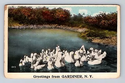 Gardiner NY-New York General Greetings Swans Antique Vintage C1919 Postcard • $7.99