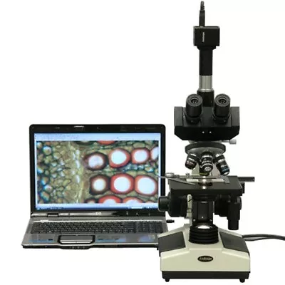 AmScope 40X-1600X Doctor Veterinary Clinic Compound Microscope + 1.3MP Camera • $398.99