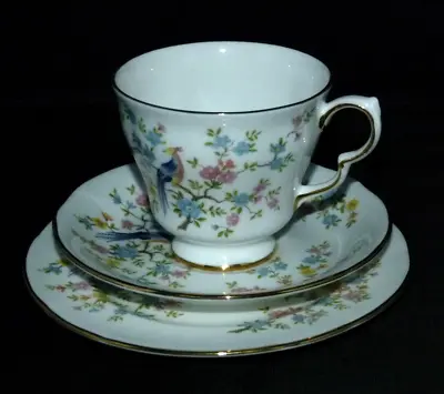 Queen Anne Bone China TRIO Set Teacup Saucer & Side Plate ENCHANTED Garden • £11.43