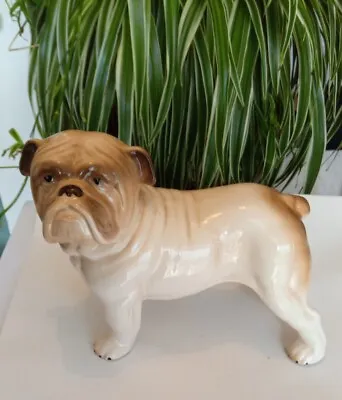 £7 • Buy Melba Ware England Bulldog Figurine Ornament Porcelain
