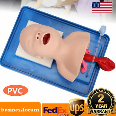 $86.45 • Buy PVC Airway Management Trainer Intubation Manikin Baby Infant Teaching Lab Model