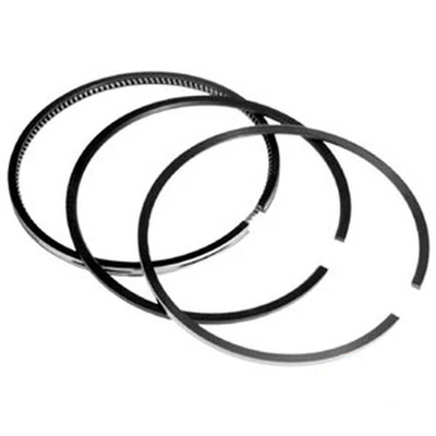 $16.99 • Buy RE507852 PISTON RING STD Fits John Deere 4.239 6.359 / 106.5mm (RE66820)