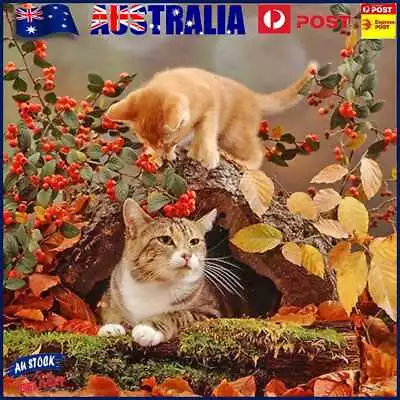 $10.64 • Buy 5D DIY Full Drill Diamond Painting Cat Cross Stitch Mosaic Craft Kit Needlework