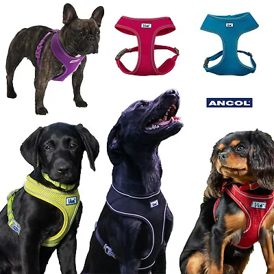Ancol Comfort Dog Padded Harness Viva Adjustable Soft Air Mesh Puppy • £11.49