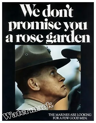 Wall Art / Photo US Marines / USMC We Don't Promise You A Rose Garden Poster • $18.75