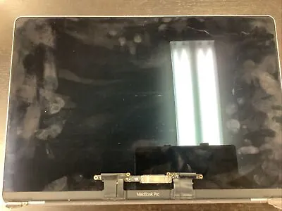 MacBook Pro 15 Inch Display Screen • $100