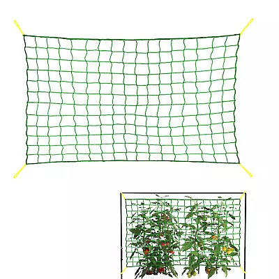 Garden Plant Climbing Net Trellis Netting Mesh For Fruits Vine Veggie Bean • $7.99