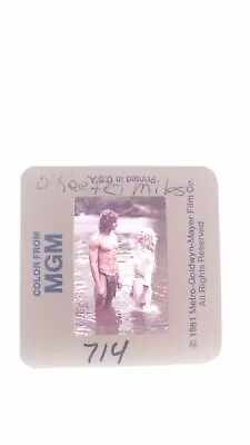Miles O'keefe Actor Color 35mm Photo Slide 1981 Mgm  Slide • $21.95