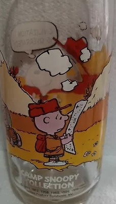 Camp Snoopy McDonald's Collector's Glass • £12