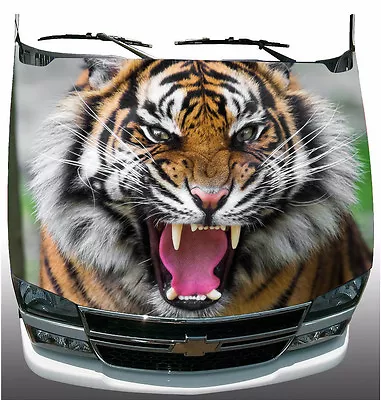 Angry Snarling Tiger Truck Or Car Hood Vinyl Decal Wrap New In Box #Hood009 • $89.15