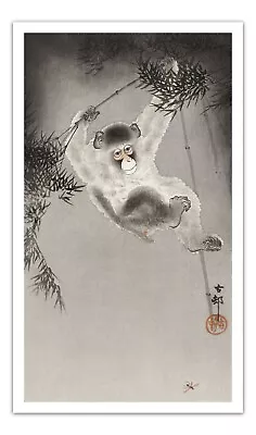 OHARA KOSON Monkey Hanging From Bamboo Branch ART (1900-1930) Print/ Poster • $14.99