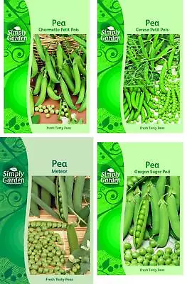 4 Pea Seeds Collection Pack Meteor Petit Pois Vegetable Seeds Grow Your Own • £4.89