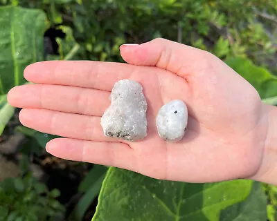 Rough Natural + Tumbled Stone Set: You Choose (Raw Gem Crystal Healing Rock)  • $7.95