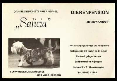 £1.95 • Buy DANDIE DINMONT TERRIER DANDY DDT DOG ADVERTISING KENNEL CARD -  Salicia  Holland