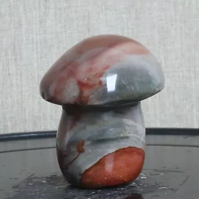 #91-131g Natural Ocean Jasper Stone Mushroom Quartz Crystal Carved • $3.58