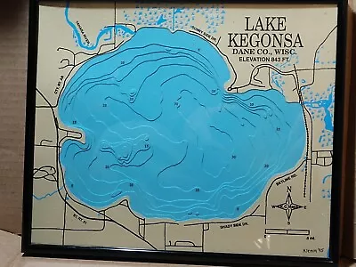 Lake Kegonsa Dane County Wi 3-d Lake Map Framed Madison Stoughton Fishing • $40