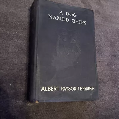 A Dog Named Chips By Albert Payson Terhune 1931 Hardcover No Dust Jacket • $18