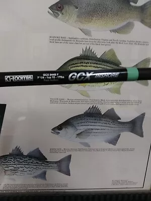 G.Loomis GCX Inshore Spinning Fishing Rod | FREE SHIP • $249