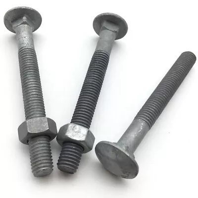 M10 Hot Dipped Galvanised Coach Bolt Cup Mushroom Head Carriage Bolt FREE NUT • £5.92